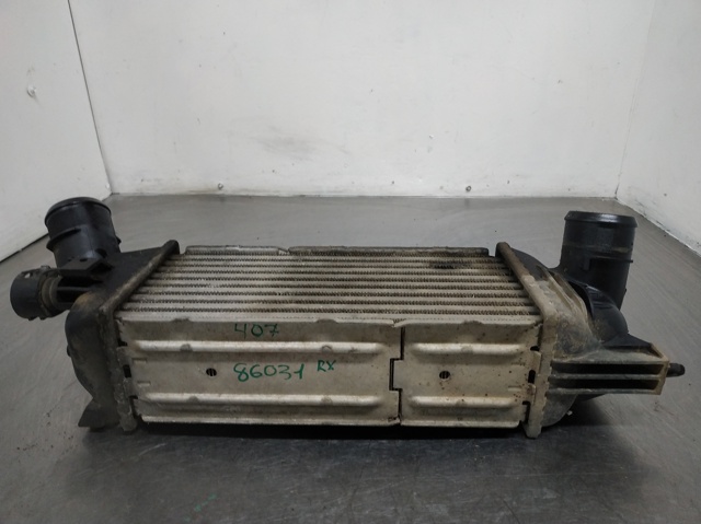 9645682880 Peugeot/Citroen