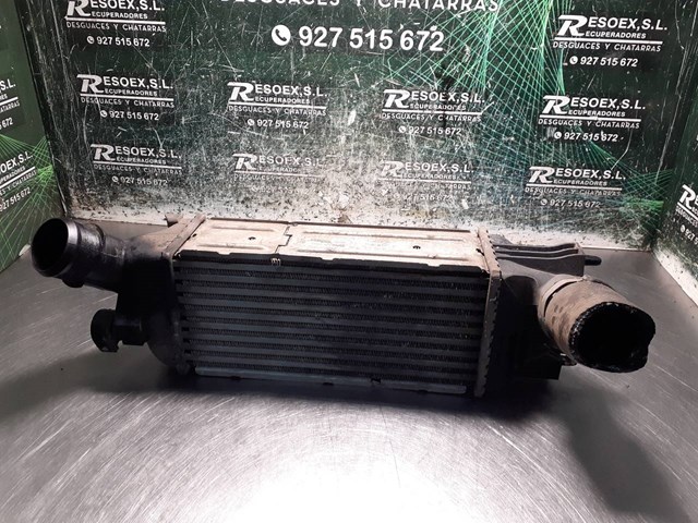 9645682880 Peugeot/Citroen