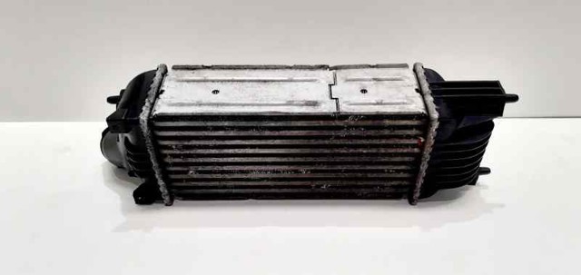 9645682880 Peugeot/Citroen