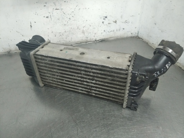 9645682880 Peugeot/Citroen