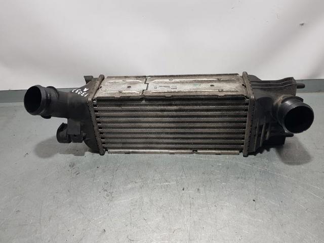 9645682880 Peugeot/Citroen