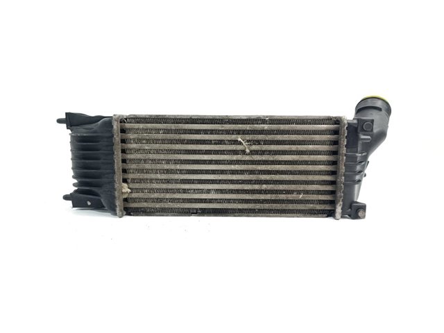 9645682880 Peugeot/Citroen