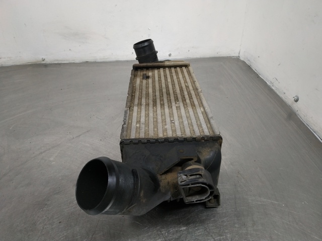 9645682880 Peugeot/Citroen