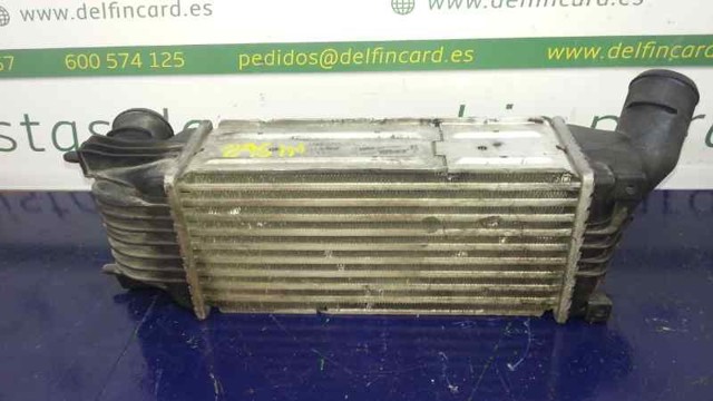 9645682880 Peugeot/Citroen