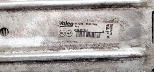 9645682880 Peugeot/Citroen