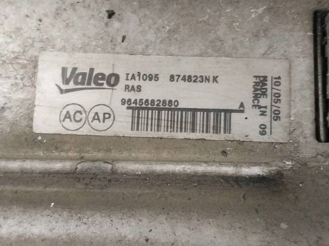 9645682880 Peugeot/Citroen