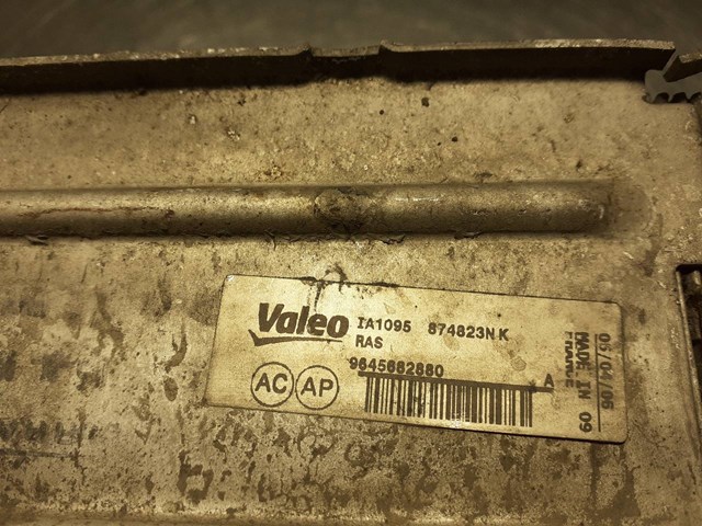 9645682880 Peugeot/Citroen