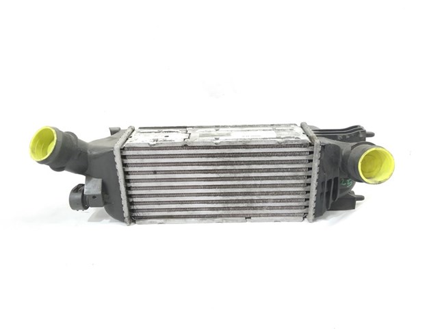 9645682880 Peugeot/Citroen