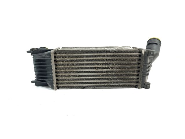 9645682880 Peugeot/Citroen