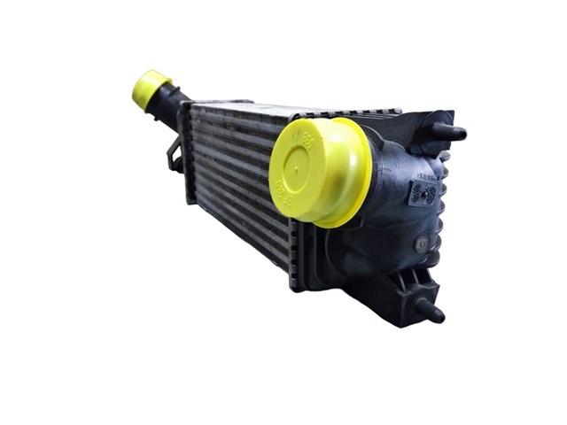 9645682880 Peugeot/Citroen