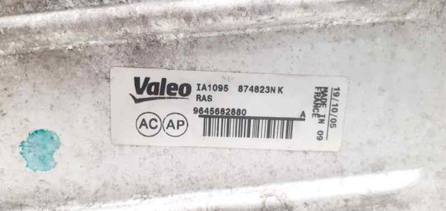 9645682880 Peugeot/Citroen