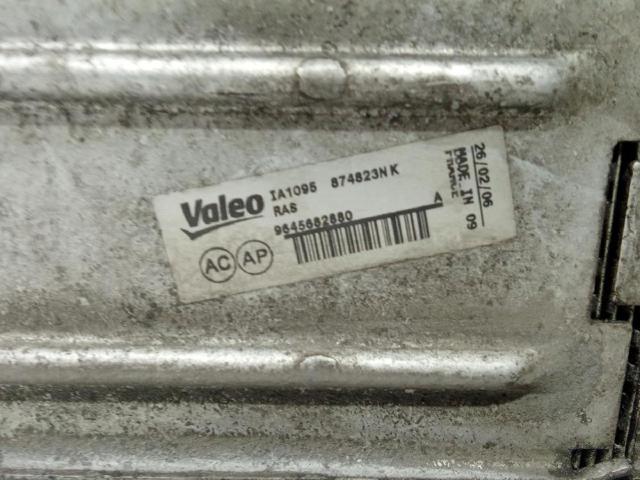 9645682880 Peugeot/Citroen