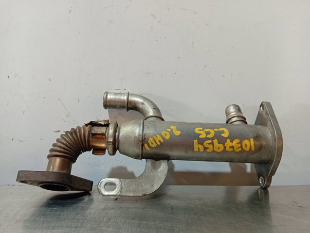 9645689780 Peugeot/Citroen