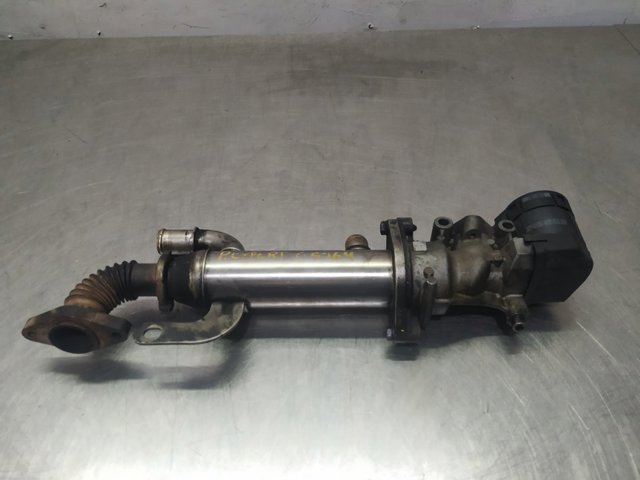 9645689780 Peugeot/Citroen