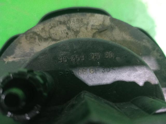 9645928180 Peugeot/Citroen