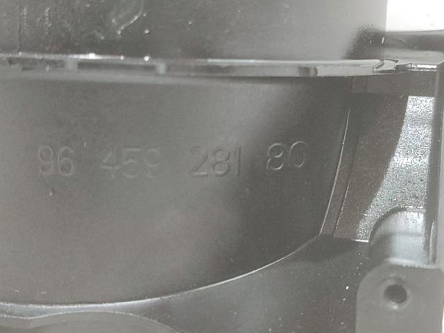 9645928180 Peugeot/Citroen