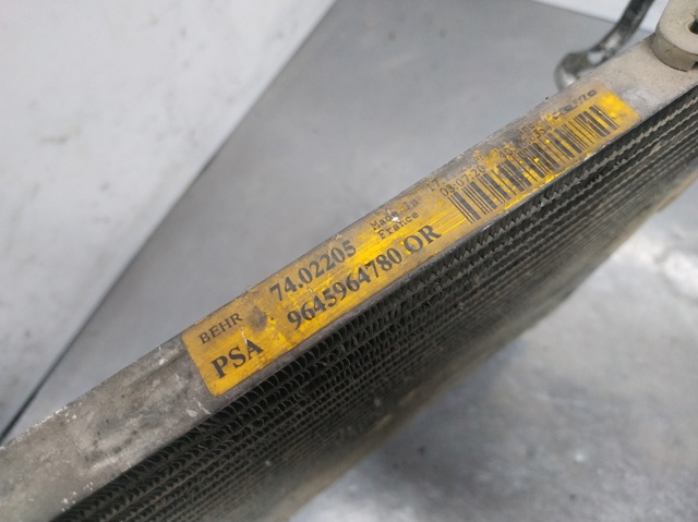 9645964780 Peugeot/Citroen