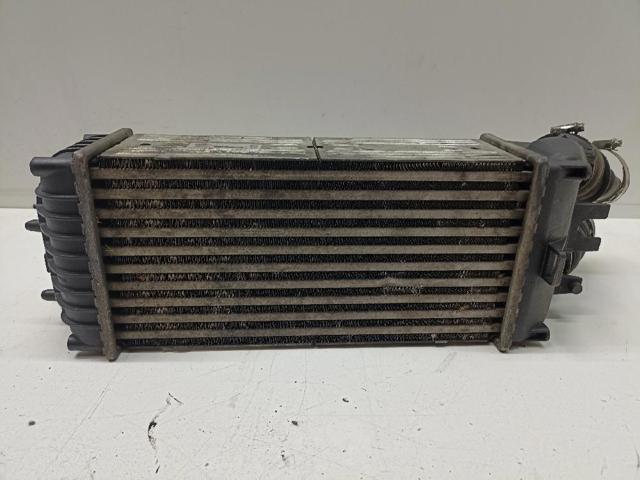 9645965180 Peugeot/Citroen