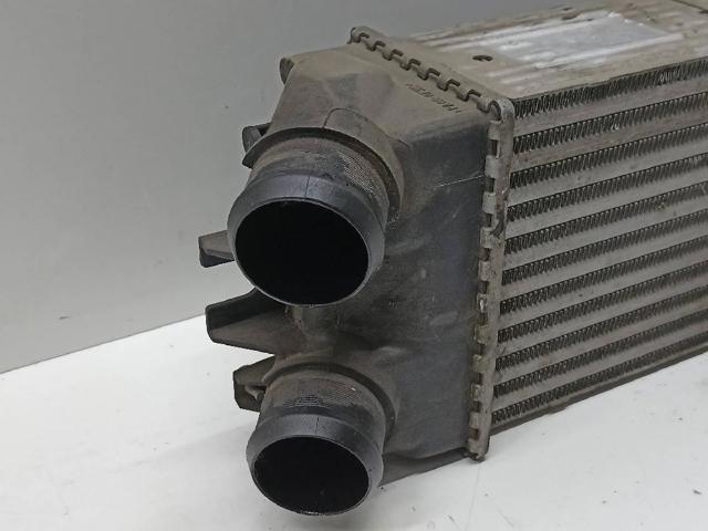 9645965180 Peugeot/Citroen