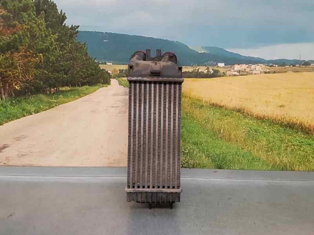 9645965180 Peugeot/Citroen