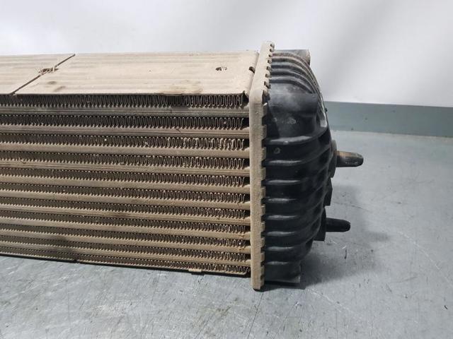 9645965180 Peugeot/Citroen