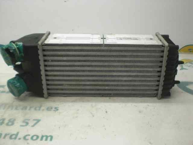 9645965180 Peugeot/Citroen
