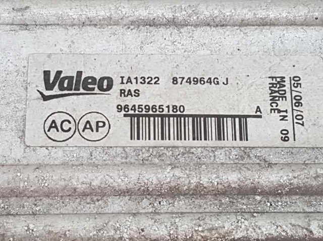 9645965180 Peugeot/Citroen