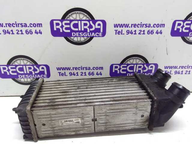 9645965180 Peugeot/Citroen