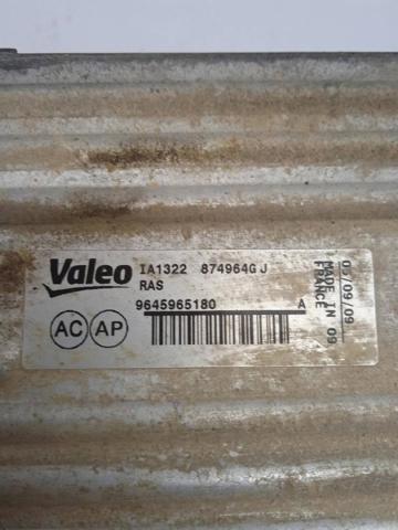 9645965180 Peugeot/Citroen