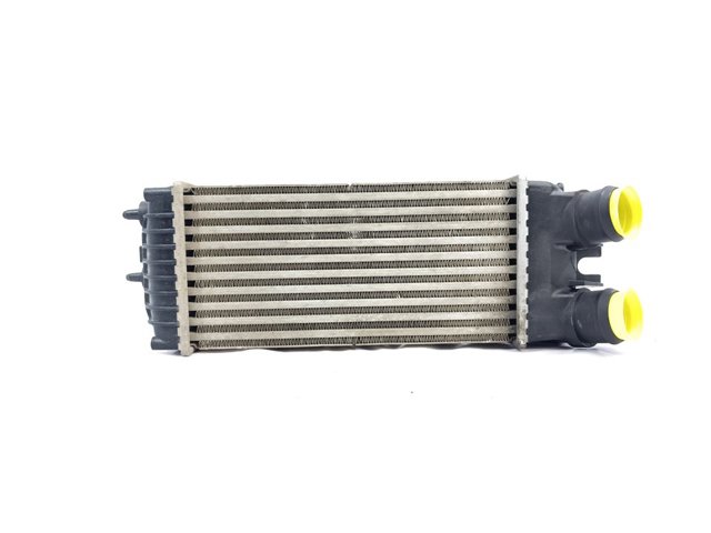 9645965180 Peugeot/Citroen