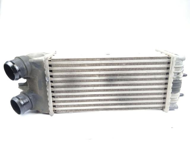 9645965180 Peugeot/Citroen