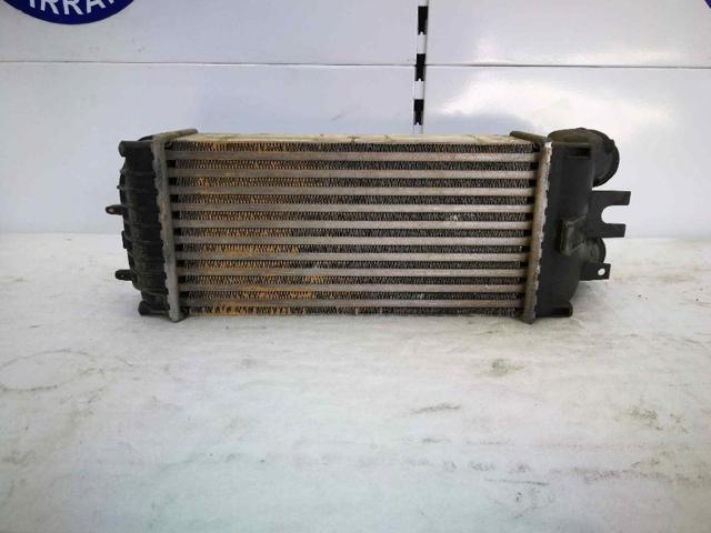9645965180 Peugeot/Citroen