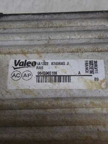 9645965180 Peugeot/Citroen