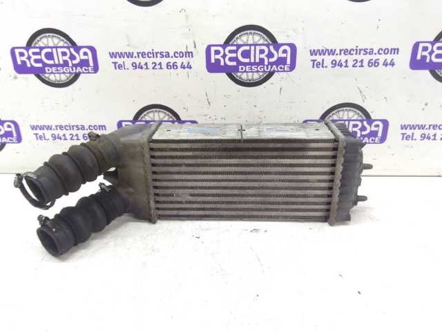 9645965180 Peugeot/Citroen