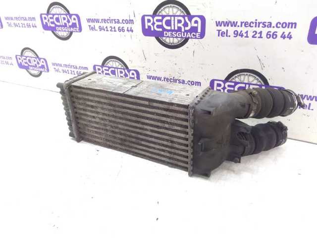 9645965180 Peugeot/Citroen