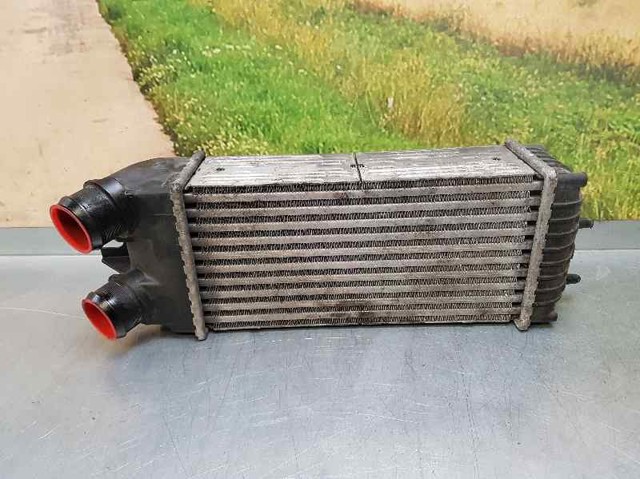 9645965180 Peugeot/Citroen