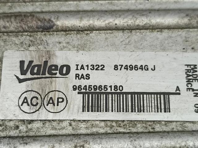 9645965180 Peugeot/Citroen