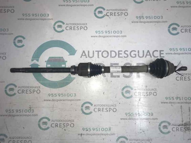 9645967480 Peugeot/Citroen