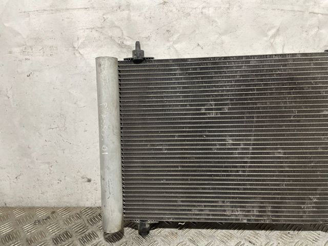 9645974780 Peugeot/Citroen