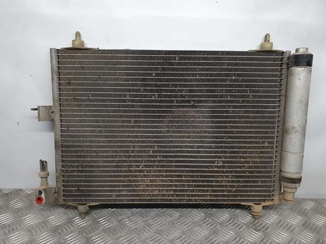 9645974780 Peugeot/Citroen