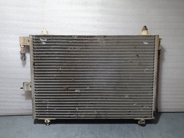 9645974780 Peugeot/Citroen
