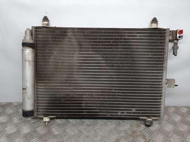 9645974780 Peugeot/Citroen