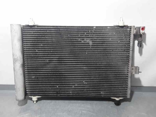 9645974780 Peugeot/Citroen