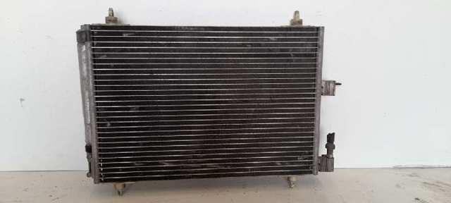 9645974780 Peugeot/Citroen
