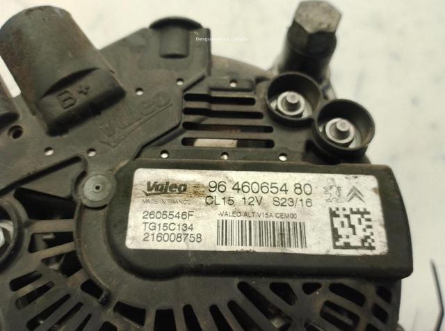 9646065480 Peugeot/Citroen