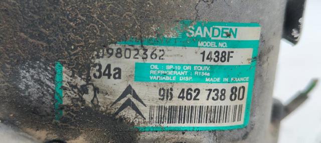 9646273880 Peugeot/Citroen