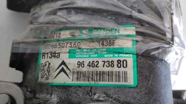 9646273880 Peugeot/Citroen