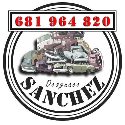 9646273880 Peugeot/Citroen