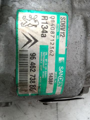 9646273880 Peugeot/Citroen