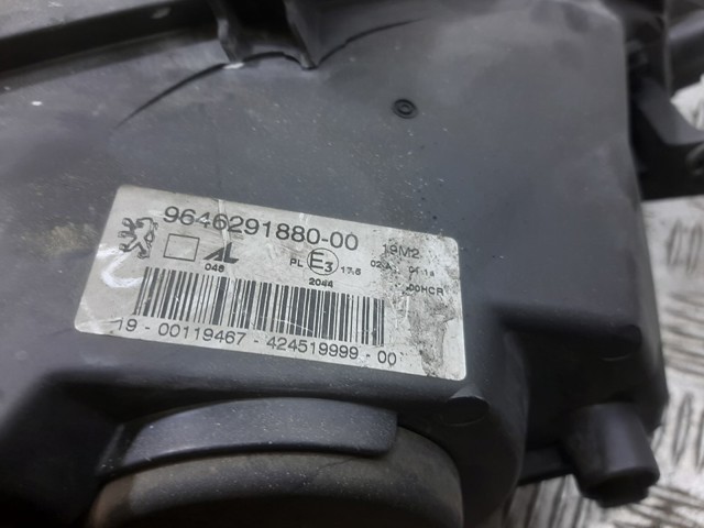 9646291880 Peugeot/Citroen